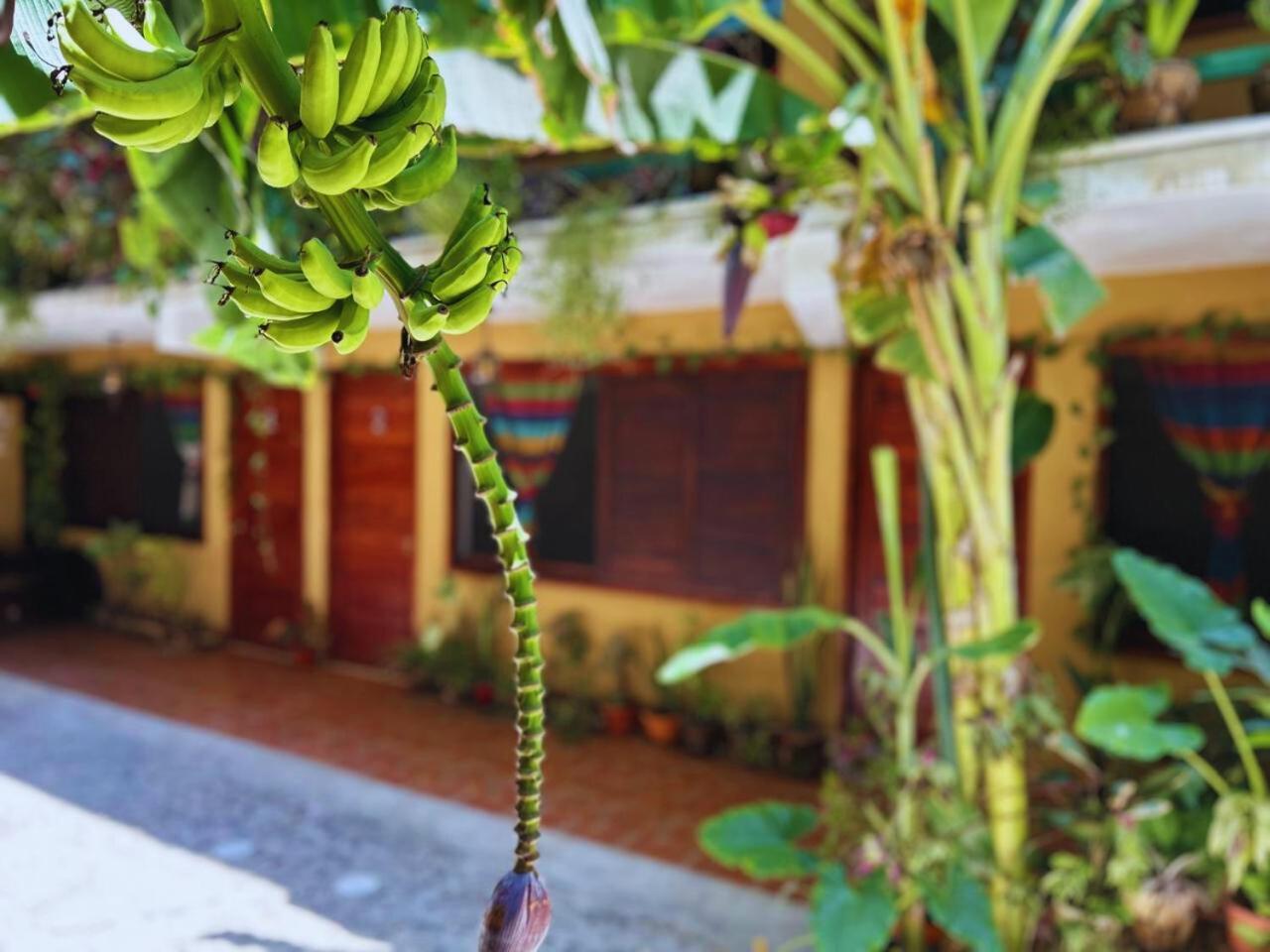 Hotel Casa Del Mar Mazunte Santa María Tonameca 외부 사진
